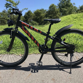 BRIDGESTONE｜24インチ｜ジュニア用プレイバイクBWX