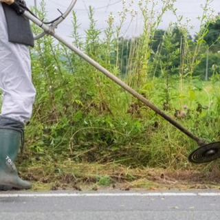 草刈り草むしり承ります！！の画像