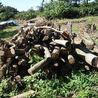 薪に最適、乾燥済み広葉樹