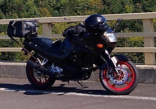 GPX250R2 　軽量、パラツイン最速？45馬力