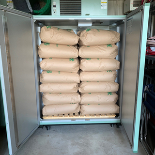 令和4年　新米　キヌヒカリ　玄米30kg   遠赤外線式乾燥機使用