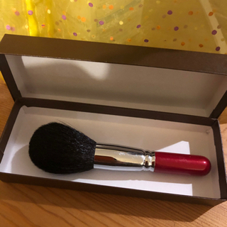 PRO BODY DESIGNの美顔ブラシ！！