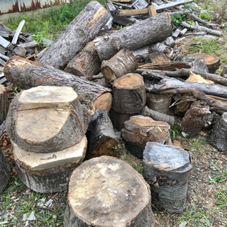 薪用の原木、生木差し上げます