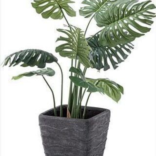 新品未使用　フェイクグリーン　モンステラ