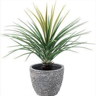 新品未使用　フェイクグリーン ミニパイナップル