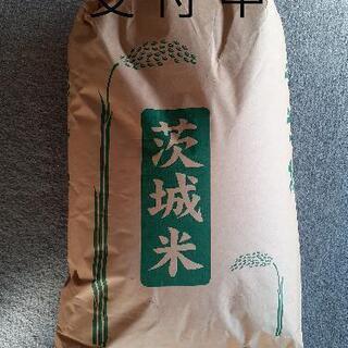 令和３年 籾(もみ)25kg 茨城県産コシヒカリ