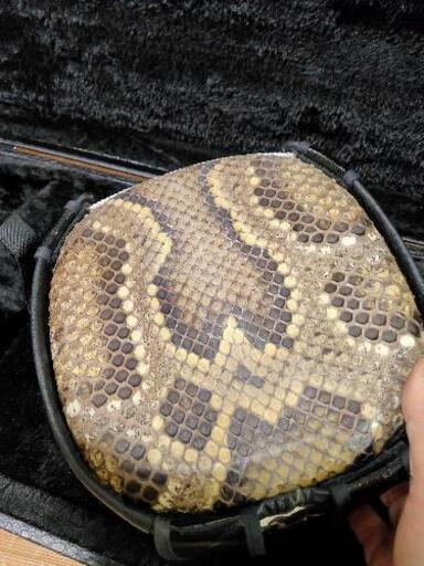 三線（カマゴン）表のみ強化、裏は本張り