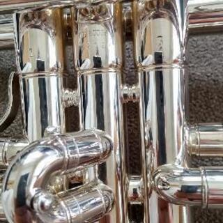 ヤマハYTR800GS シャイニーケース付 ヤマハYTR800GS シャイニーケース付