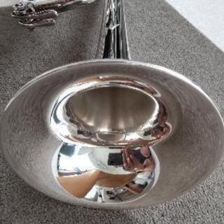 ヤマハYTR800GS シャイニーケース付