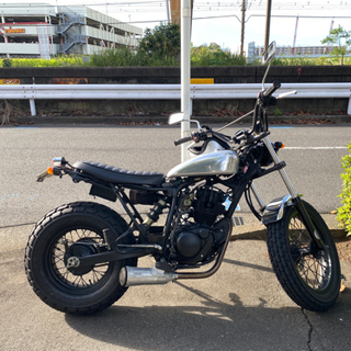 TW225E カスタム レアパーツ付き