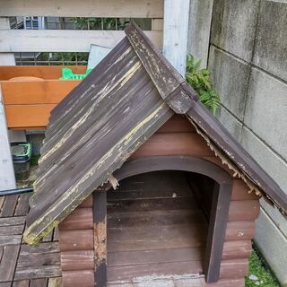 東京都の中古犬小屋が無料 格安で買える ジモティー