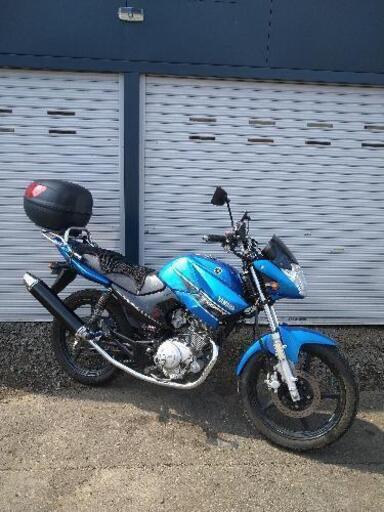9月一杯で取り下げ❗YAMAHA YBR125 希少カウリングタイプ！極上車✨格安❗