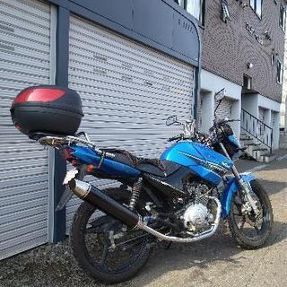 大幅値下げ！白バイ仕様、希少250cc/すぐ乗れます//低走行//動画あり