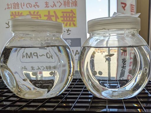 改良メダカを花木流通センターへ出品しています 21 09 の内容です Celeru 前橋のその他のペットの無料広告 無料掲載の掲示板 ジモティー