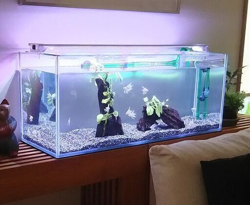 スタイリッシュ水槽90cm(スリムタイプ)＋LEDライトのセット