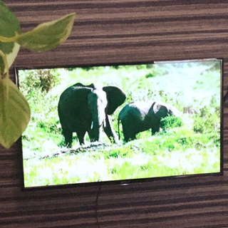 引取限定】SONY 液晶テレビ【BRAVIA】【40インチ】