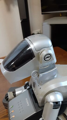 ソニー製アイボ(SONY AIBO ERS-111) | stainu-tasikmalaya.ac.id