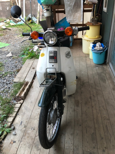 カブ50