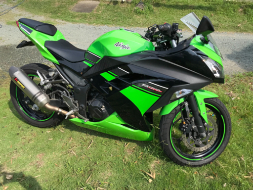Ninja 250R SE【レッドバロン購入】走行距離約37000km 今こそ乗りたい