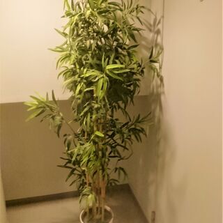【ネット決済】IKEA　フェイクプラント　植木鉢つき　引取りのみ