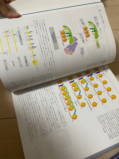 細胞の分子生物学 第6版