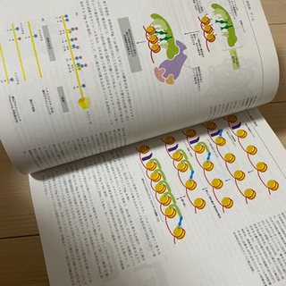 細胞の分子生物学 第6版