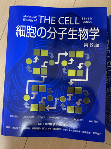 細胞の分子生物学 第6版 cpsicologosaqp.com.pe