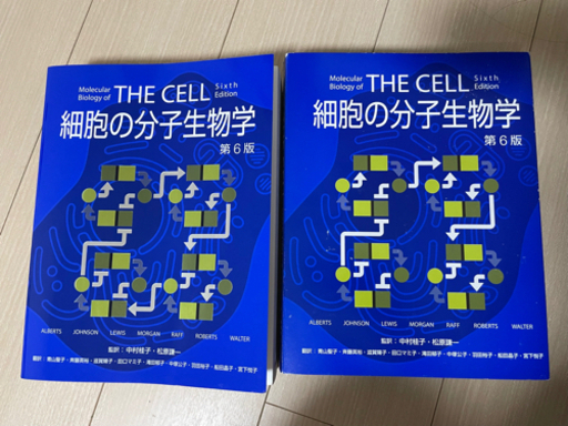 細胞の分子生物学 第6版 cpsicologosaqp.com.pe