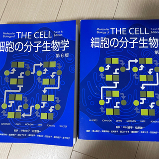 【ネット決済・配送可】細胞の分子生物学 第6版