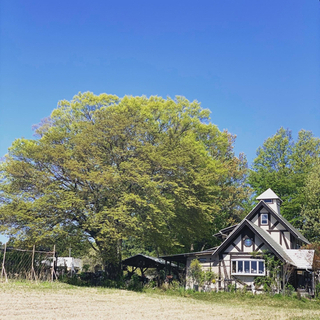 ガーデンカフェスタッフ募集