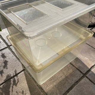差し上げます大きめサイズプラスチック水槽水そう大型2個セット ともこ 麻布十番の家具の中古あげます 譲ります ジモティーで不用品の処分 差し上げます大きめサイズプラスチック水槽水そう大型2個セット ともこ 麻布十番の家具の中古あげます 譲ります ジモティーで不用品の処分