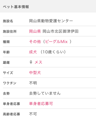 里親様決まりそうです 皆様ありがとうございました 保健所収容28日期限のわんちゃんです りーこ 川崎の犬の里親募集 ジモティー