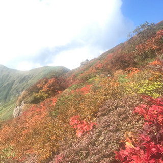 今季登山仲間募集 - 友達