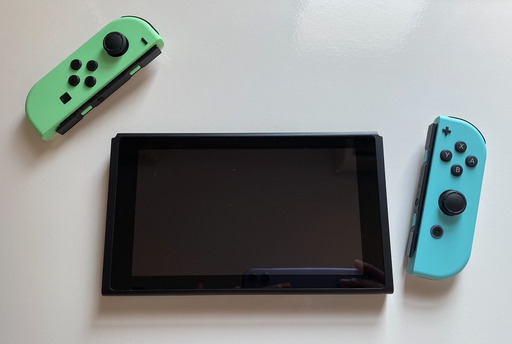 Nintendo Switch あつまれ どうぶつの森セット | inmarco.ae