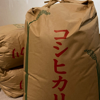 【ネット決済】新米です！富山県産1袋(30kg)玄米