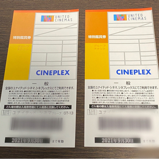 【急ぎ】ユナイテッドシネマ　特別鑑賞券 映画チケット　2枚