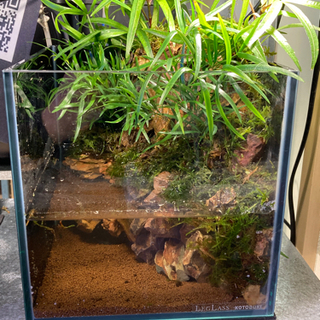 ☆杜のメダカ熱帯魚飼育にコケリウム・テラリウム完成品☆20水槽ポンプ ...