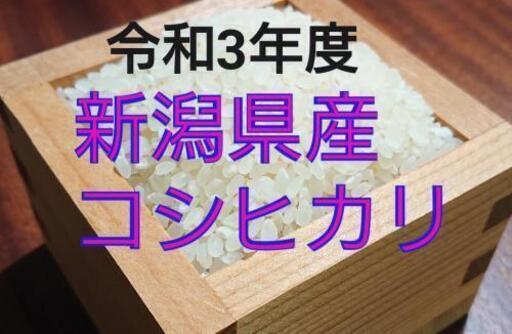 《本日限定》令和3年度 コシヒカリ新米30㎏