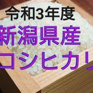 【ネット決済】《本日限定》令和3年度 コシヒカリ新米30㎏