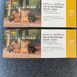 【急募】世界ネコ歩きチケット2枚