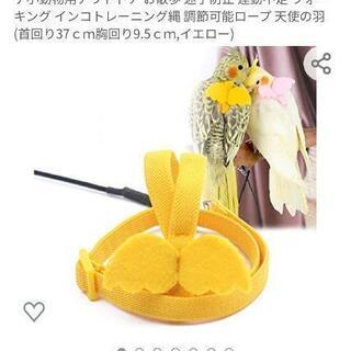 中古インコ用が無料 格安で買える ジモティー