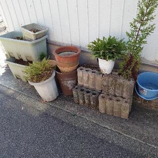 植木鉢　土　プランター　レンガブロック　無料