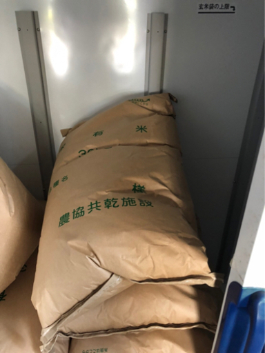 令和二年産 きぬむすめ 玄米30kg