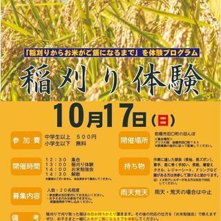 稲刈り体験イベント開催の画像