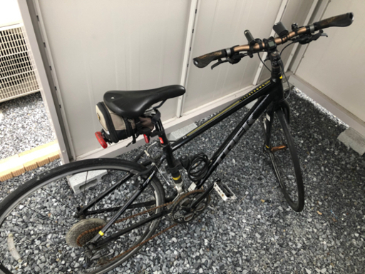 TREK クロスバイク フレーム livestrong