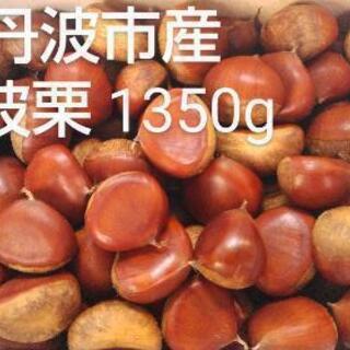 丹波産 生栗 現在1350g