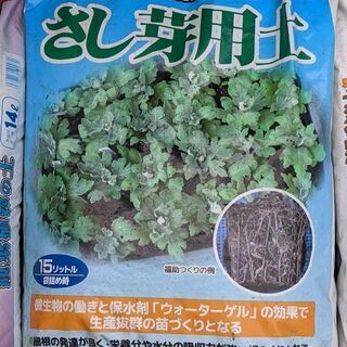 【ネット決済】ハイブリッドさし芽用土、醗酵牛ふん雄肥他　