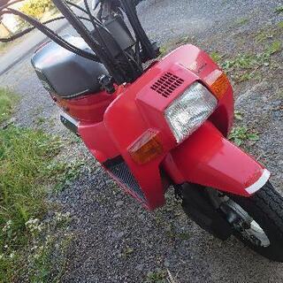 ホンダ スカッシュ