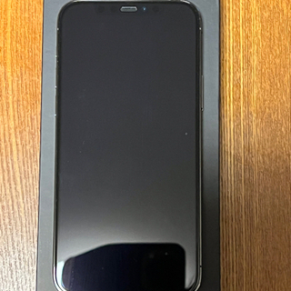 iPhone 12 Pro 256G 
