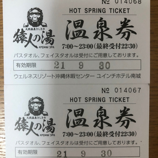 猿人の湯　温泉券2枚1800円